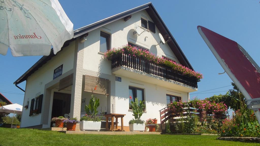 Guest House Adrijana Селище Дрезницко Екстериор снимка