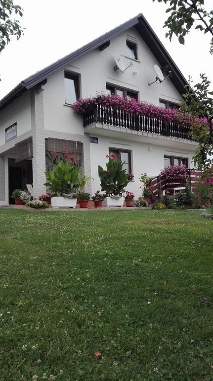 Guest House Adrijana Селище Дрезницко Екстериор снимка