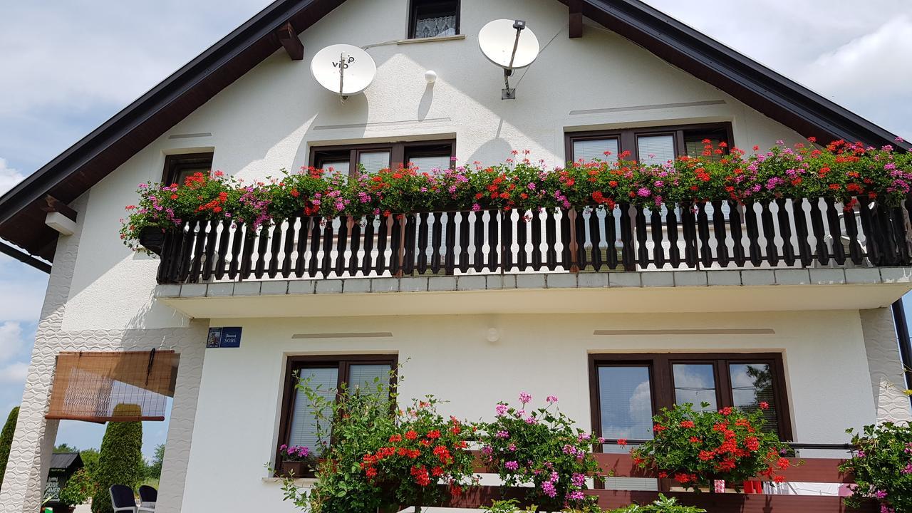 Guest House Adrijana Селище Дрезницко Екстериор снимка