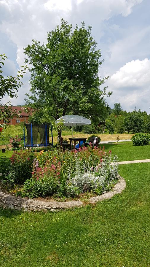 Guest House Adrijana Селище Дрезницко Екстериор снимка